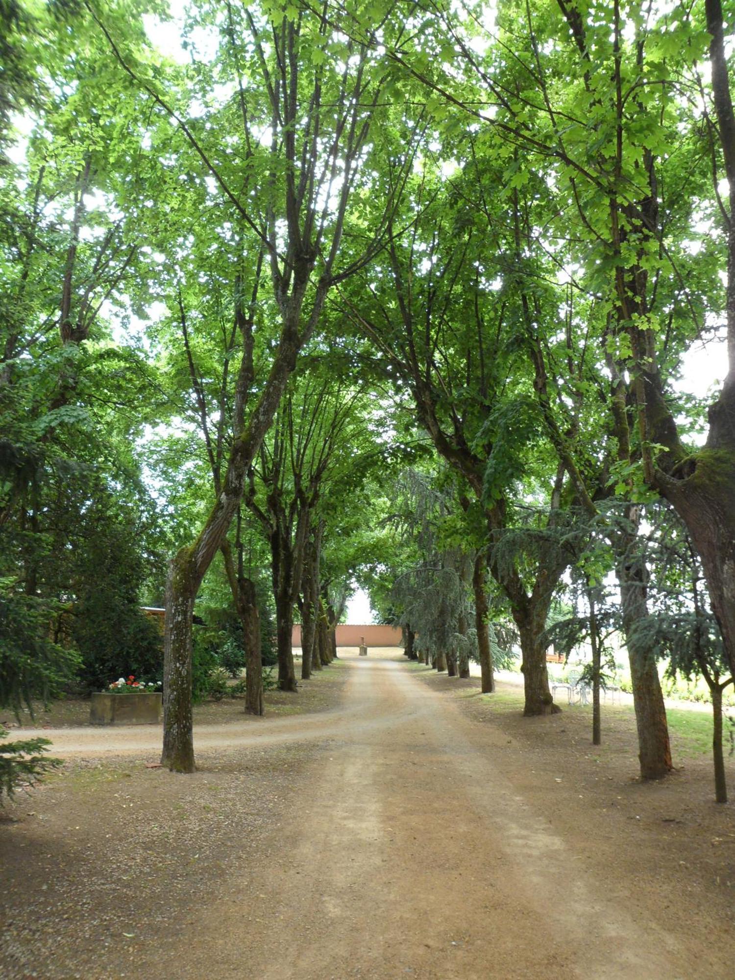 Chateau De La Chapelle Des Bois ฟลัวรี ภายนอก รูปภาพ